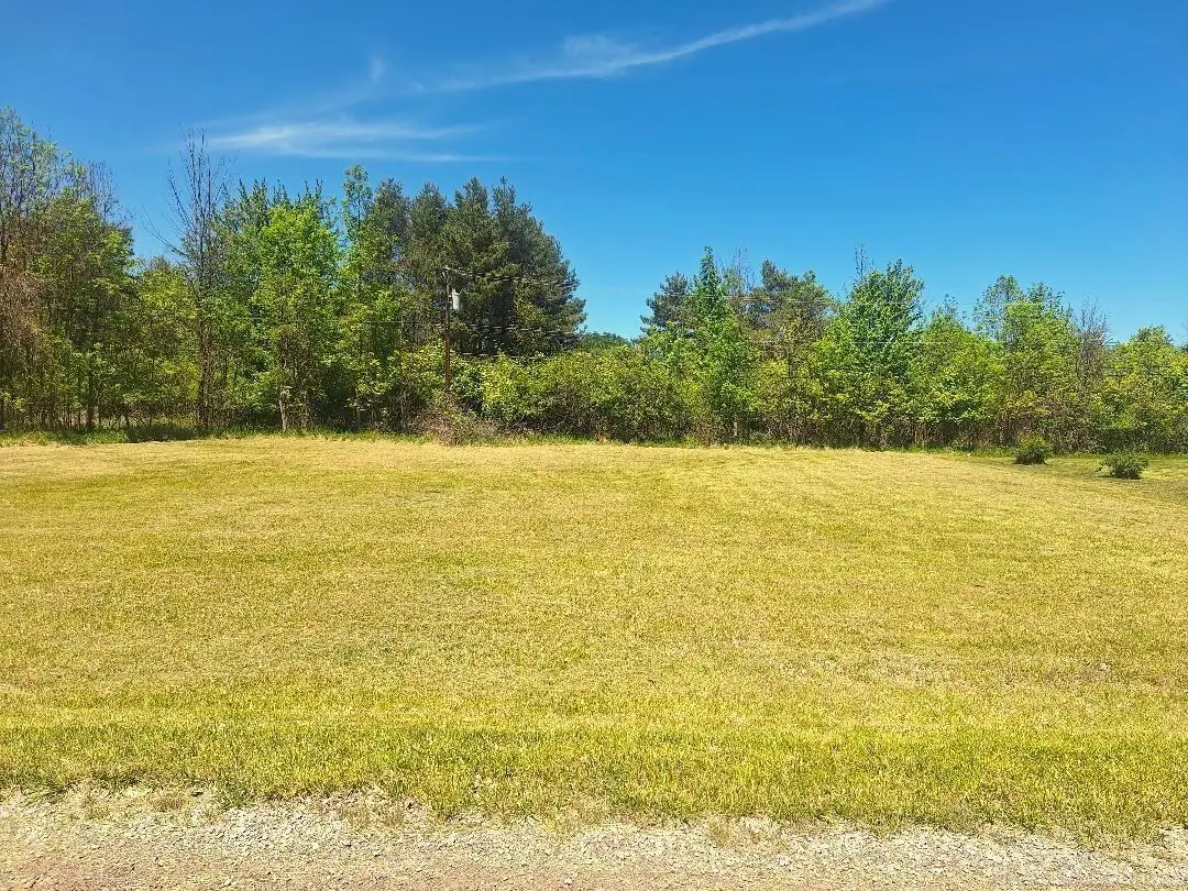 Lot 7 Avalon CIR, Lexington, MI 48450 - #1