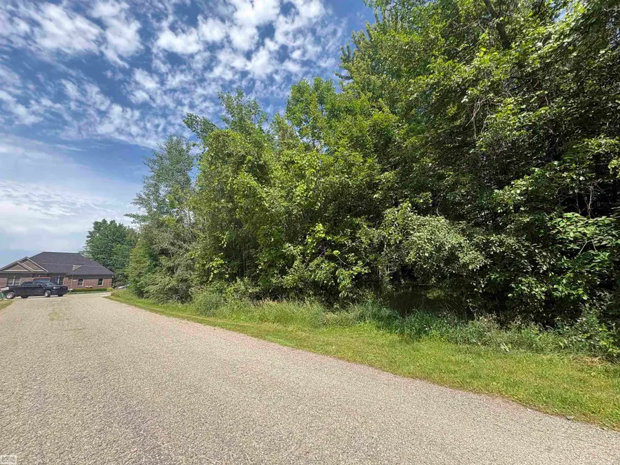 V/L N Heron DR, Lapeer, MI 48446 - #2