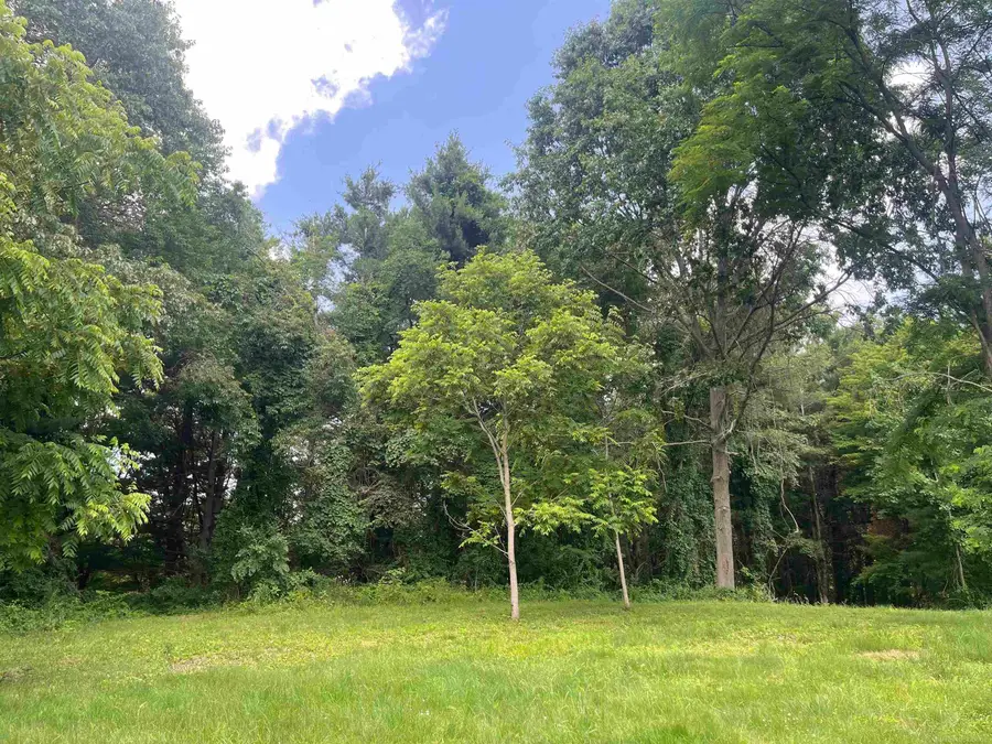 0 Donna LN, Dryden, MI 48428 - #3