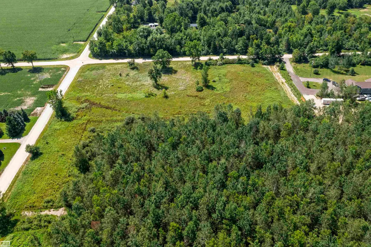 2005 Braidwood RD, Riley, MI 48041 - #1