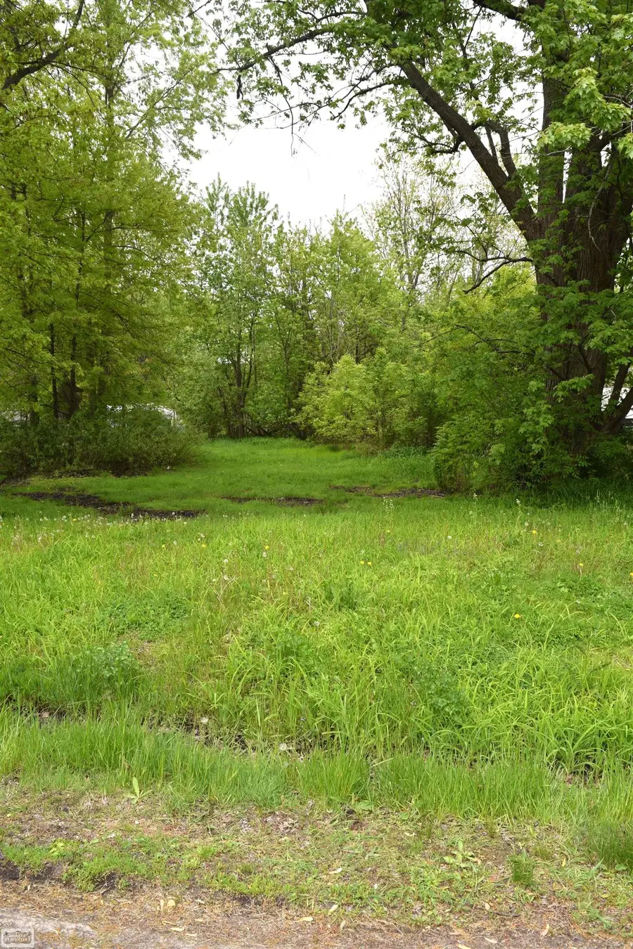 38199 Murdicks DR, New Baltimore, MI 48047 - #3