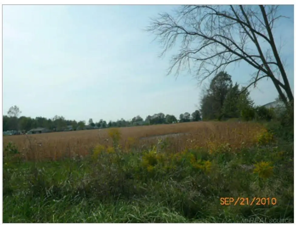 79379 Cryderman RD, Richmond, MI 48062 - #1