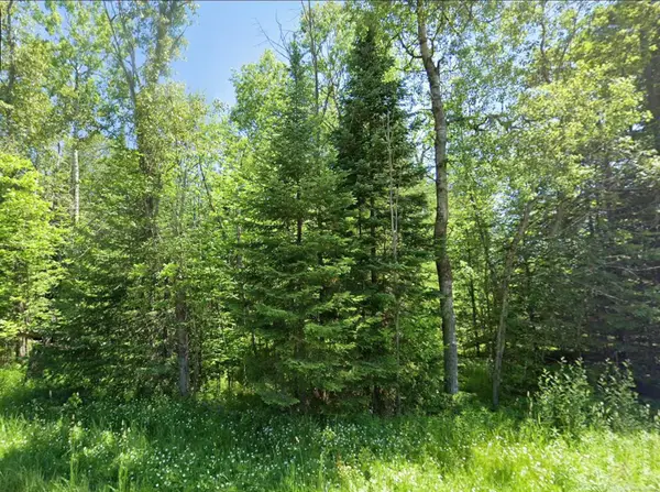 0 Sawyer, RoseCity, MI 48654