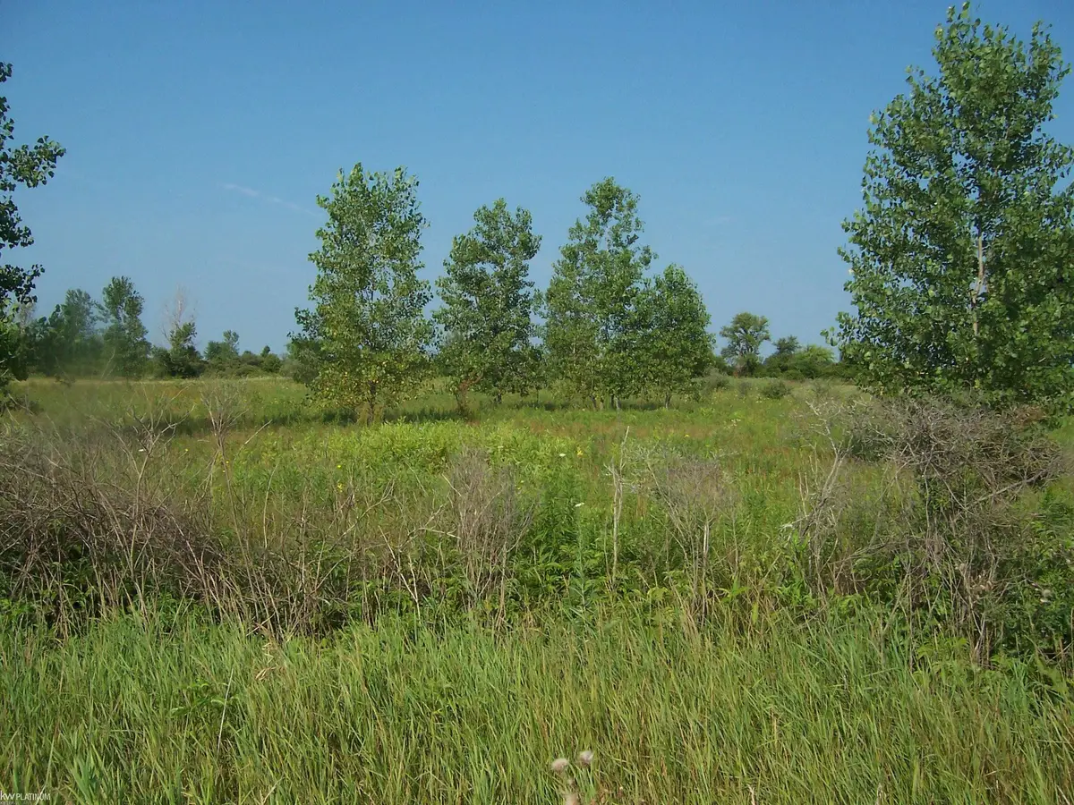 Vacant Minor Rd RD, Memphis, MI 48041 - #1