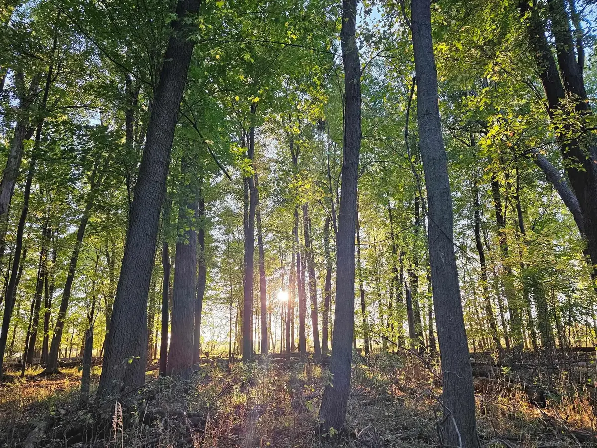 00 E Kilgore RD, Croswell, MI 48422 - #1