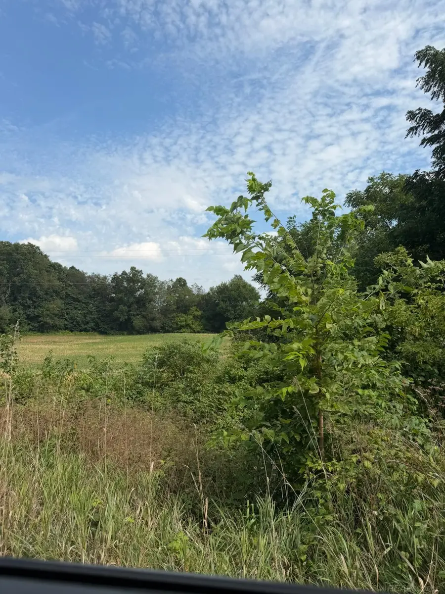 Lot 17440 28 Mile RD, Albion, MI 49224 - #3