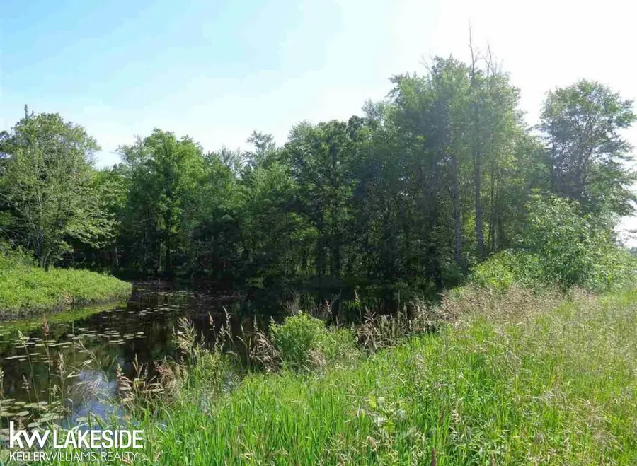 0 Cadillac RD, Merritt, MI 49667 - #3