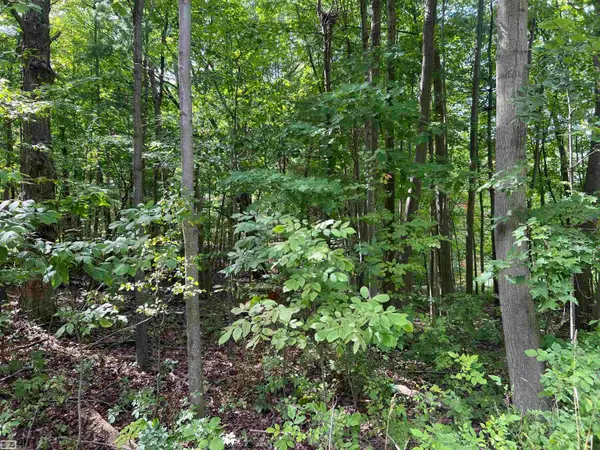 0 Burton RD, Mussey, MI 48014