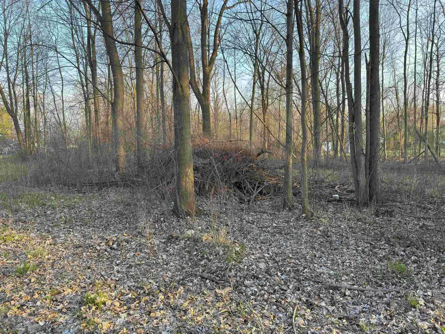 00 Bridgehampton ST, Sandusky, MI 48471 - #3