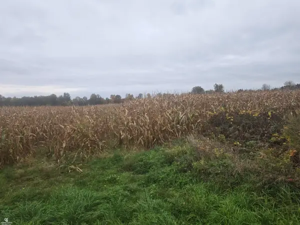 00 Brown VL RD, Avoca, MI 48006