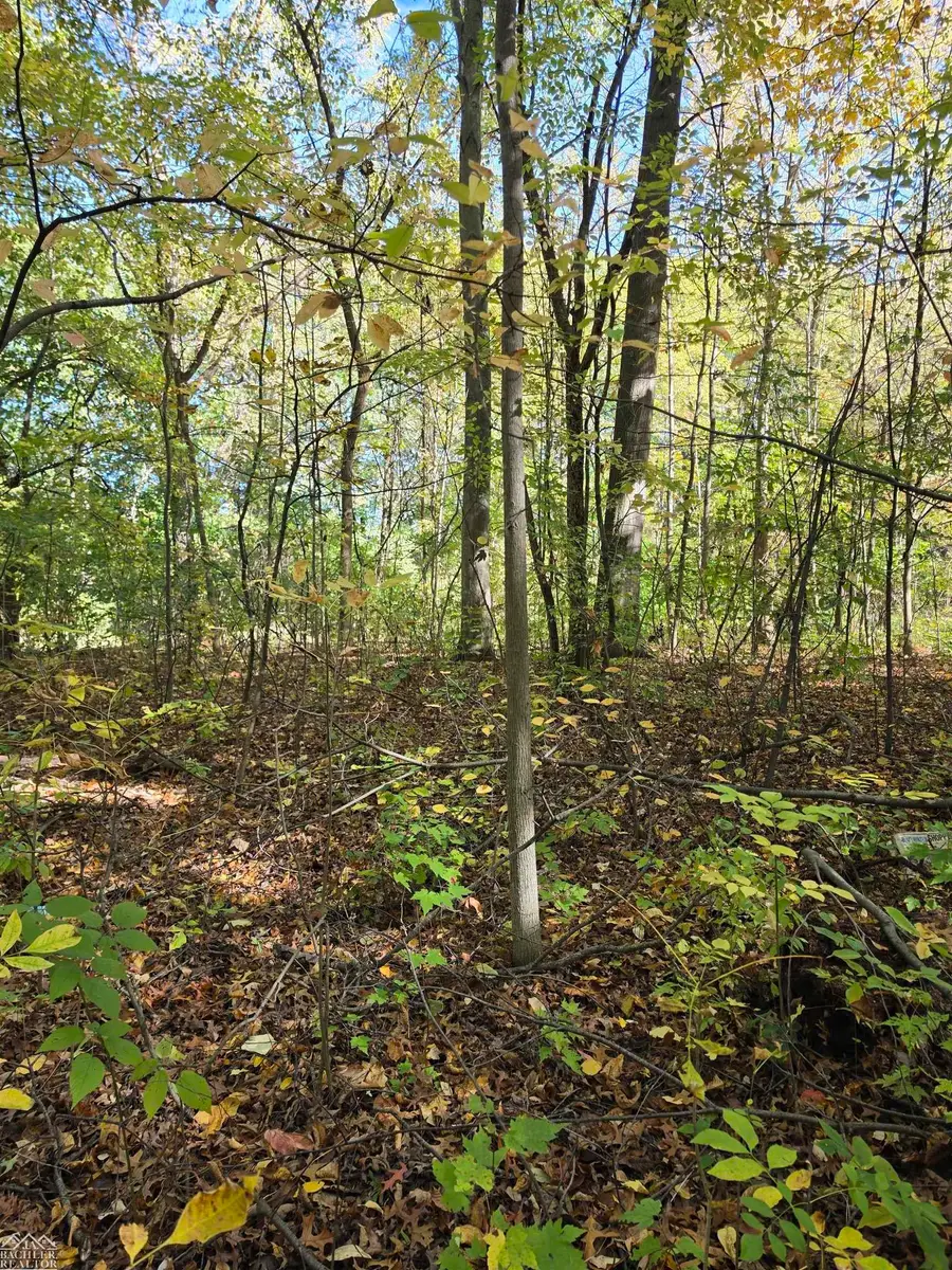 0 Woodland LN, East China, MI 48054 - #3