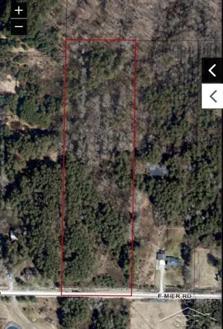 VL E Mier Road, Sanford, MI 48657 - #1