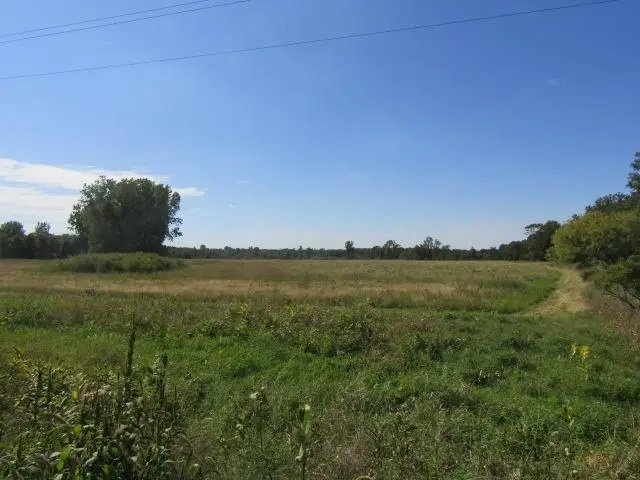 V/L Morrice Rd. RD, Owosso, MI 48867 - #2