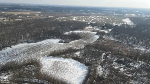 Lovejoy RD, Perry, MI 48872