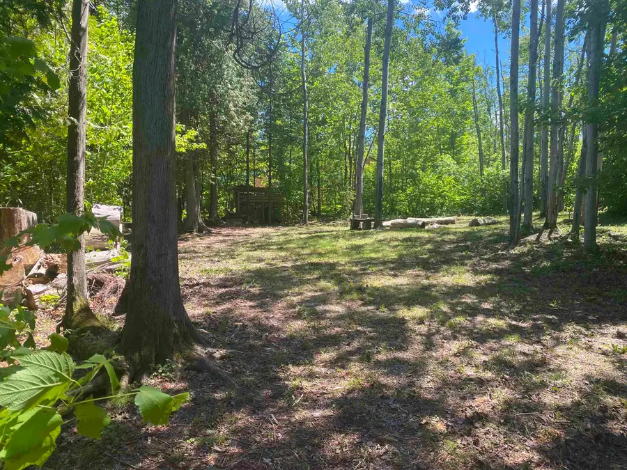 22730 N US HWY 23 HWY, Millersburg, MI 49759 - #3