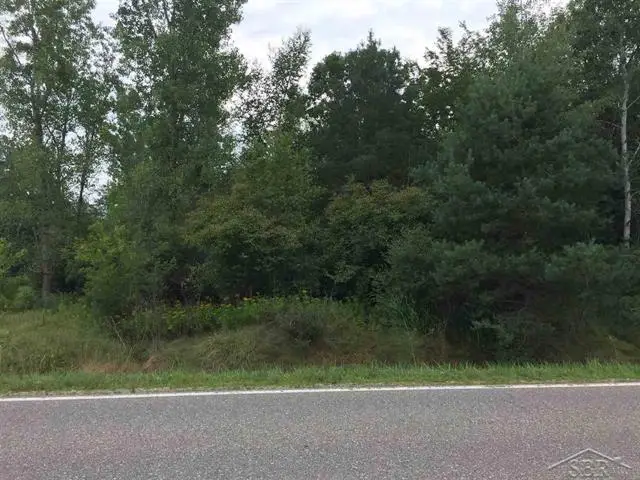 1166 E Freeland RD, Merrill, MI 48637 - #3