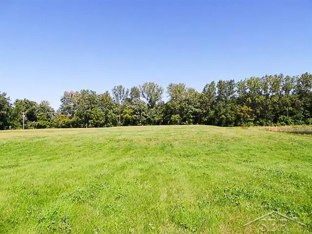 7863 Sheridan Rd Lot #2 RD, Bridgeport, MI 48415 - #3