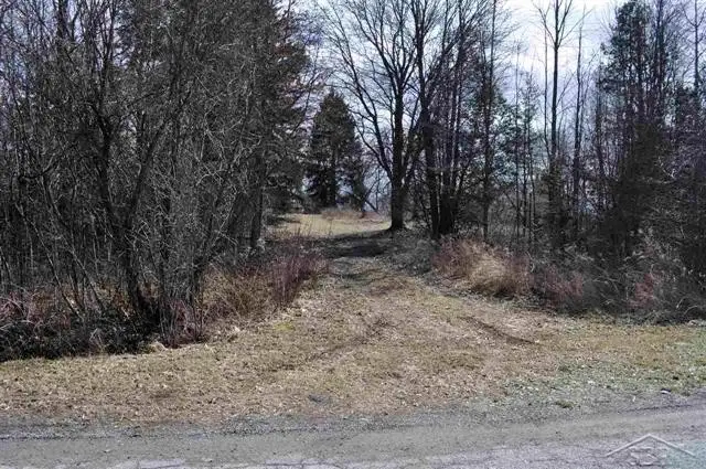 VL Schomaker Rd, Saginaw, MI 48609 - #1