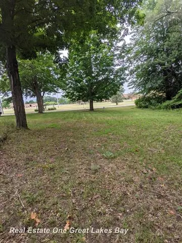 W Walnut ST, StCharles, MI 48655