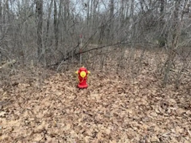 VL N Anna LN, Sanford, MI 48657 - #2