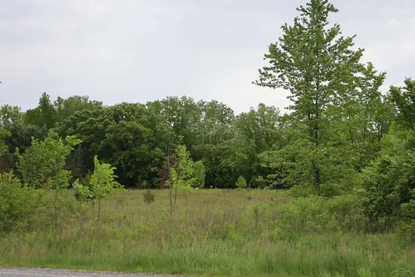 VL Beyer RD, BirchRun, MI 48415