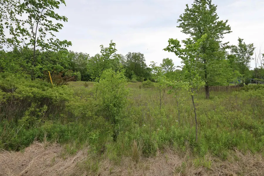 VL Beyer RD, Birch Run, MI 48415 - #3
