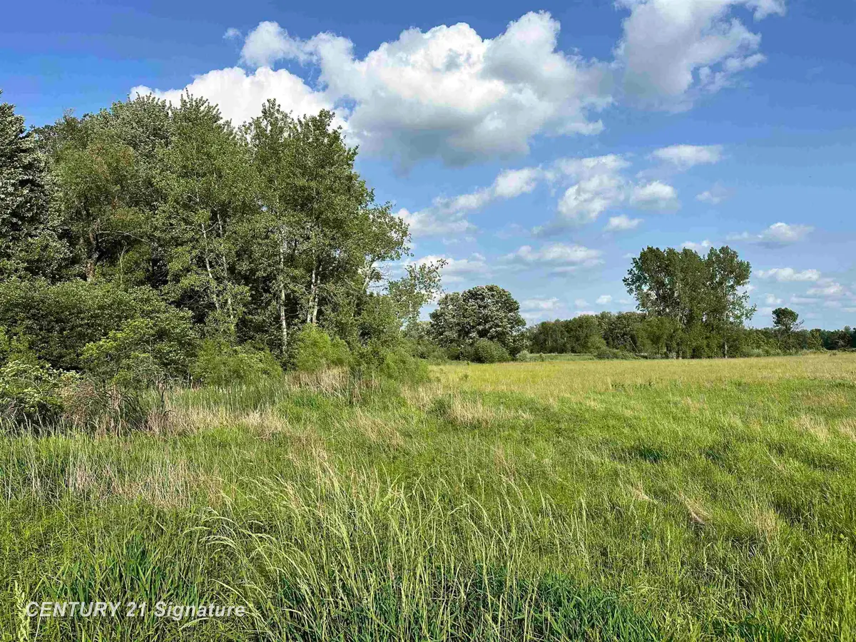 60 Estey RD, Beaverton, MI 48612 - #1