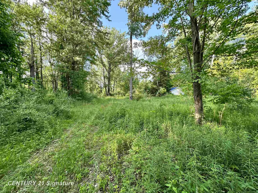4020 Wieman RD, Beaverton, MI 48612 - #3