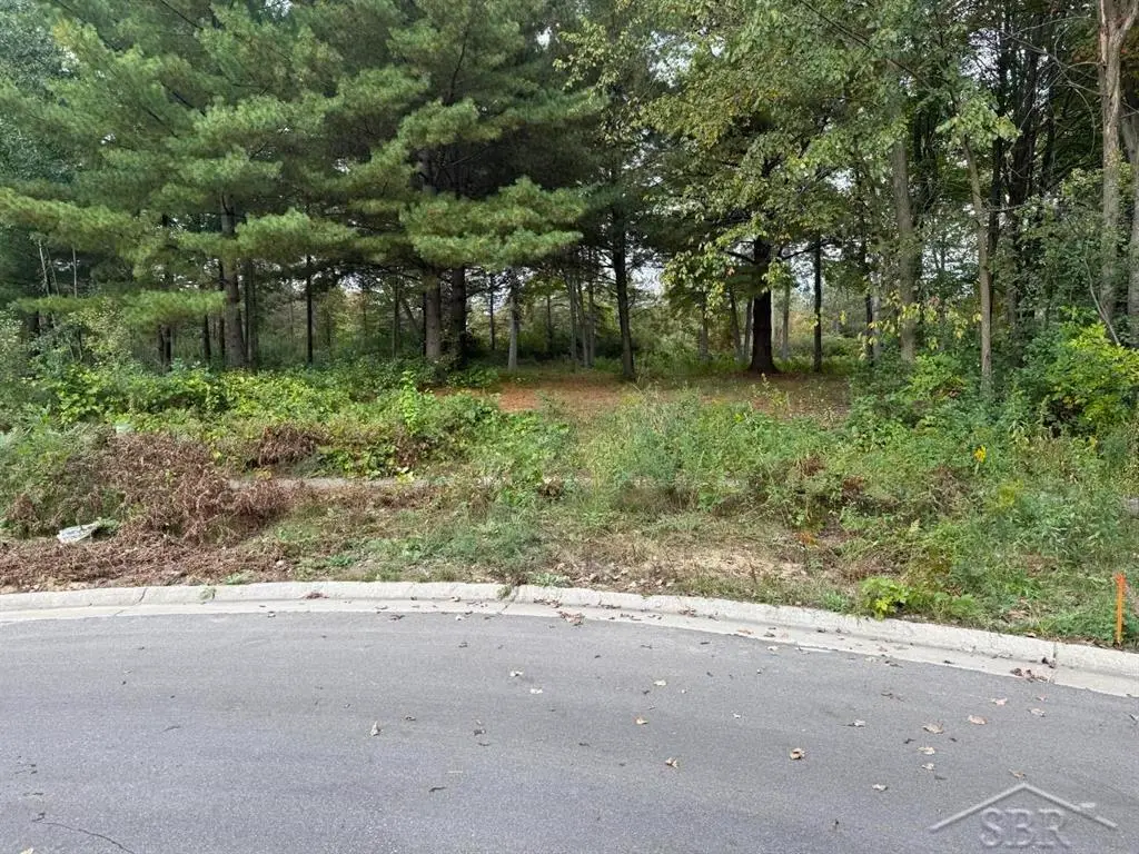 6210 Evergreen CT, Midland, MI 48642 - #1