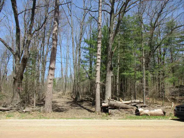 007-019-300-12 Clarence Rd RD, Harrison, MI 48625