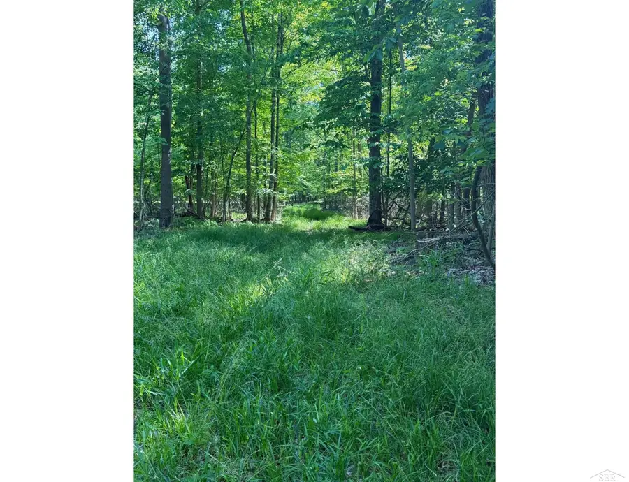 0 Lange RD, Bridgeport, MI 48722 - #2
