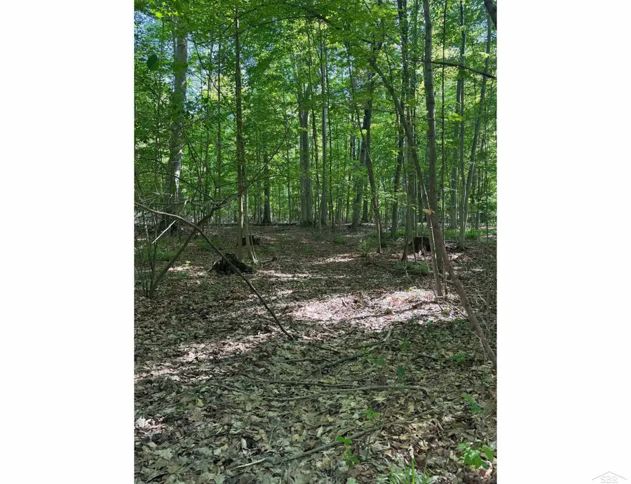 0 Lange RD, Bridgeport, MI 48722 - #3