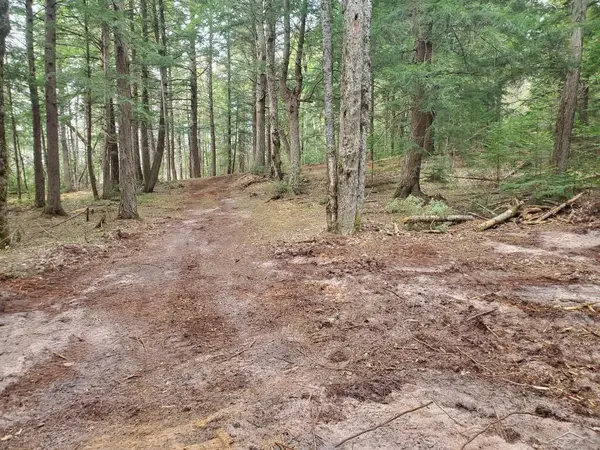 Old Plank RD, AuTrain, MI 49895