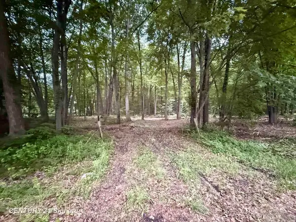 0 Seymour RD, Burt, MI 48417