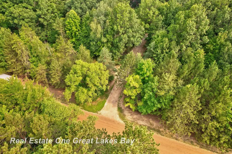 17950 Schroeder RD, Brant, MI 48614 - #3