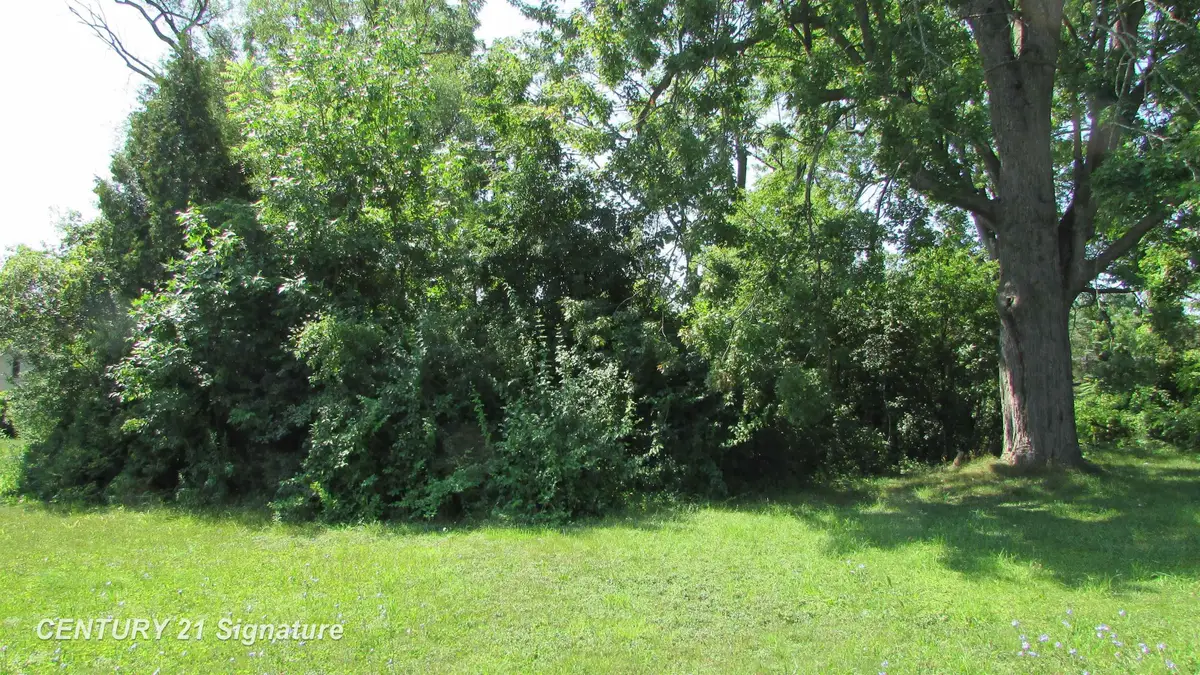 Parcel A Gratiot RD, Saginaw, MI 48638 - #1