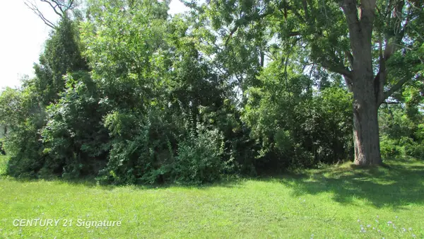 Parcel B Gratiot RD, Saginaw, MI 48638