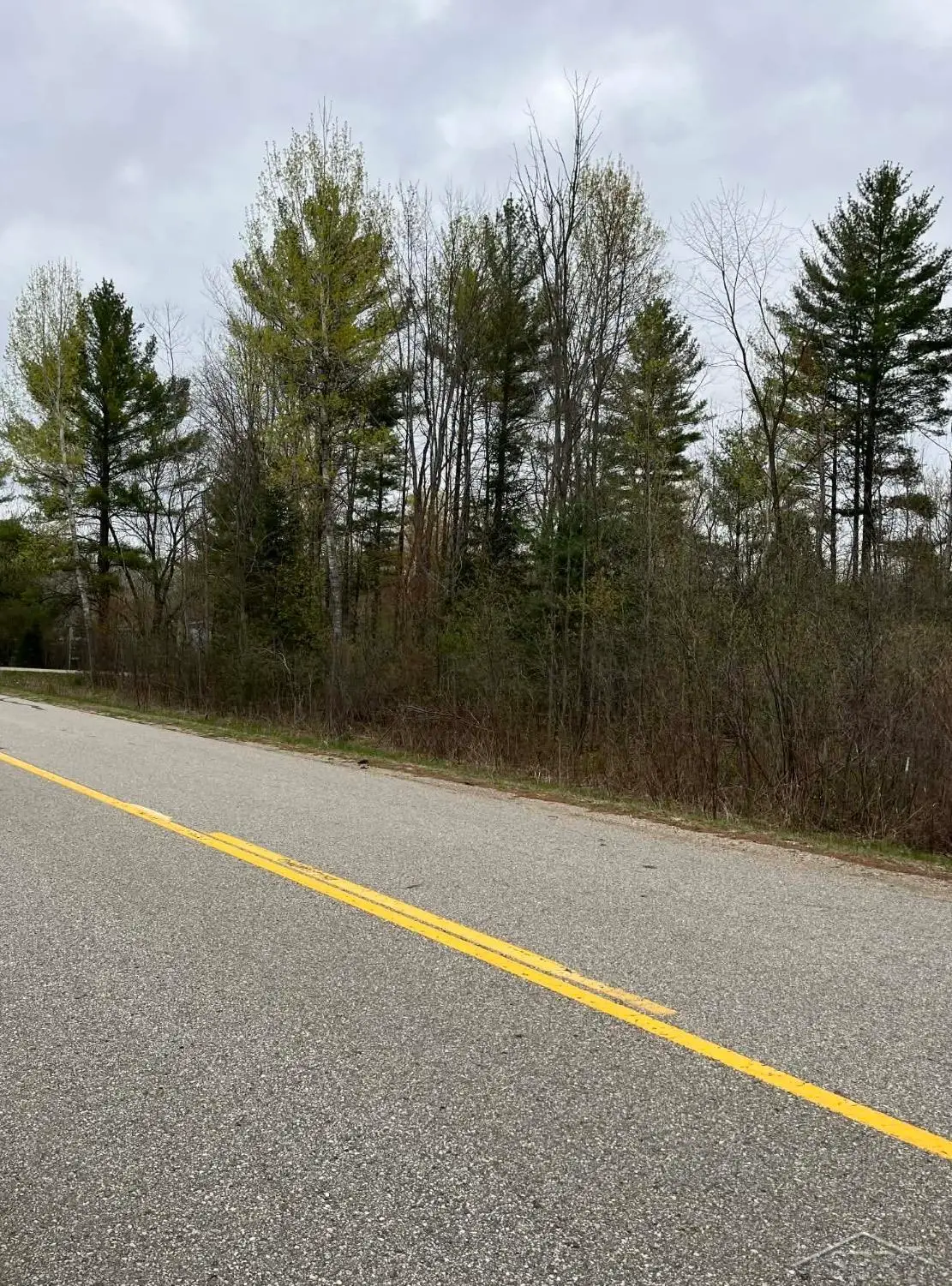 0 Beech ST, Gladwin, MI 48624 - #1