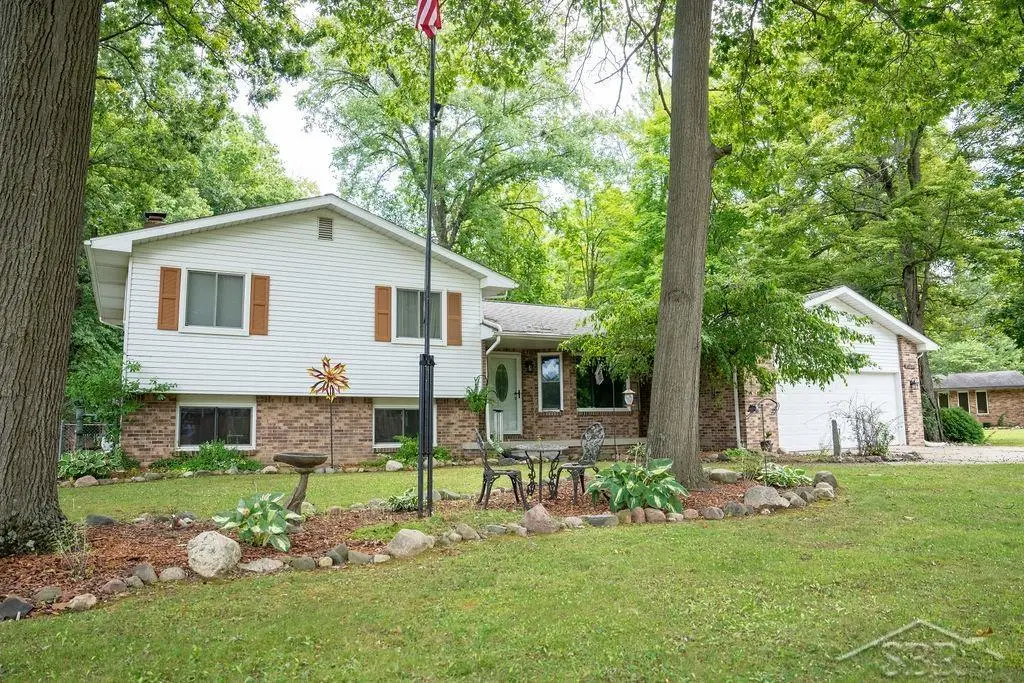 10298 Rene, Clio, MI 48420 - #1