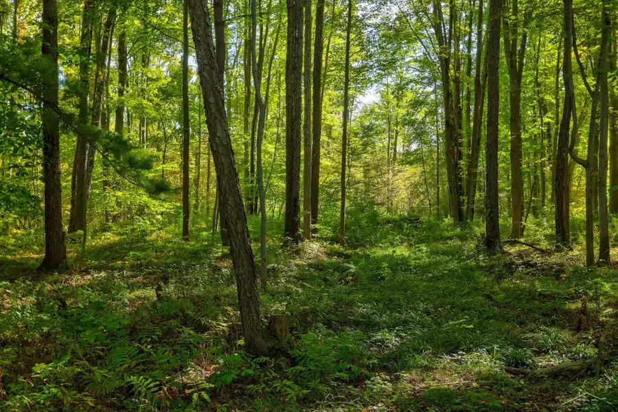 4910 Caine RD, Vassar, MI 48768 - #3