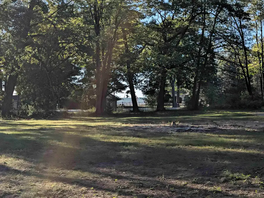 221 & 223 N Huron RD, Whitney, MI 48703 - #3