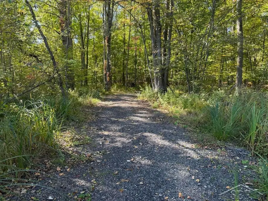 VL S Magruder RD, Jasper, MI 48880 - #2