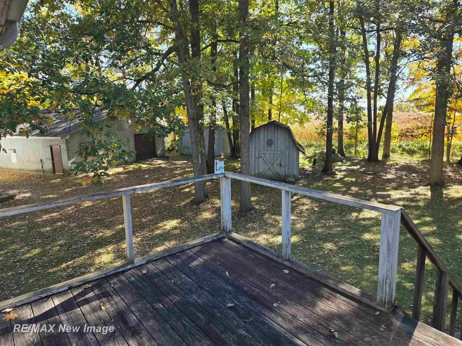 13977 W Burt RD, Chesaning, MI 48616 - #3