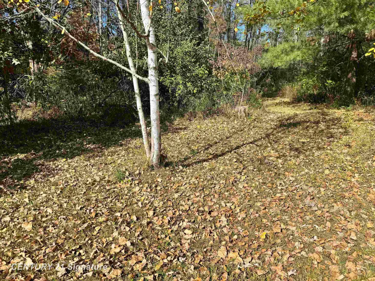 1232 S Eight Mile RD, Midland, MI 48640 - #1
