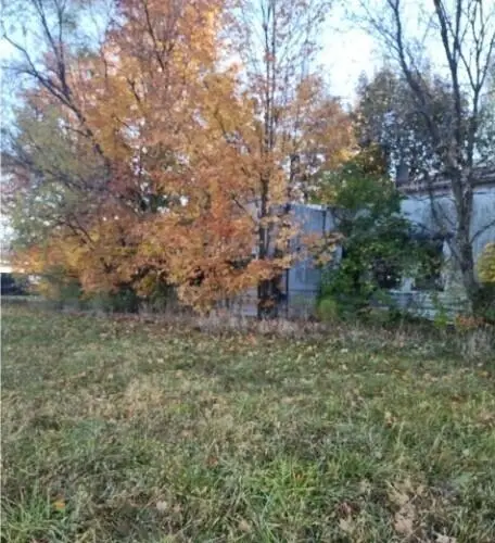 10044 8 Mile Road, Ceresco, MI 49033 - #1