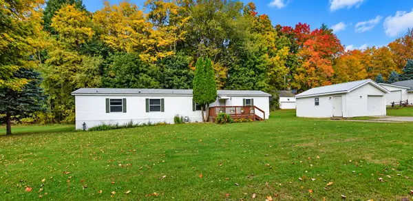 110 Lincoln Street, Litchfield, MI 49252