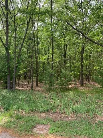 Lot 10 Lewanee Street, Montague, MI 49437 - #1