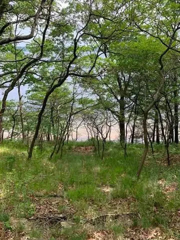 Lot 10 Lewanee Street, Montague, MI 49437 - #2