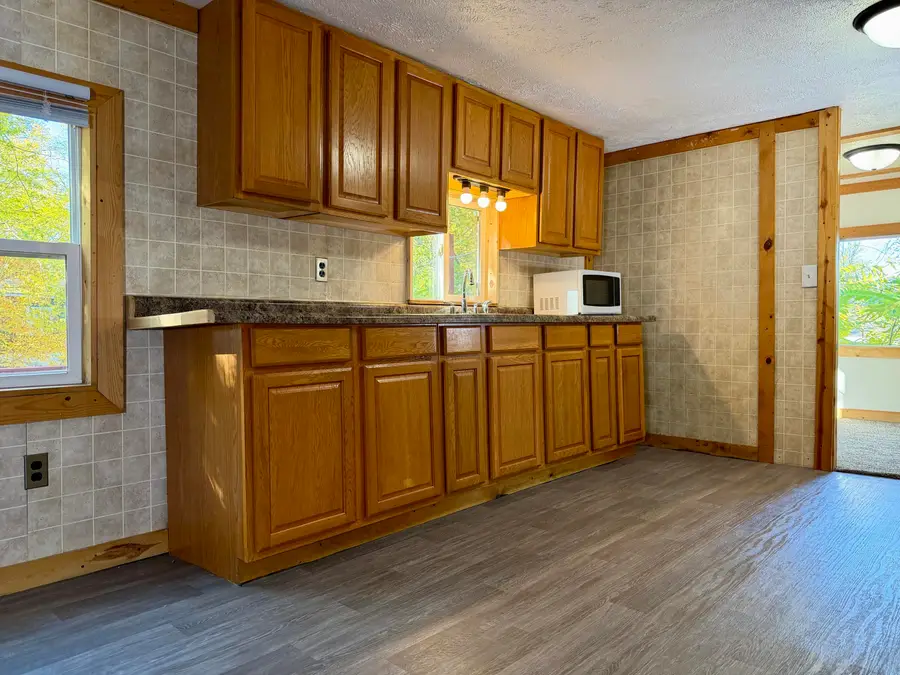 2565 Lapo Road, Lake Odessa, MI 48849 - #3