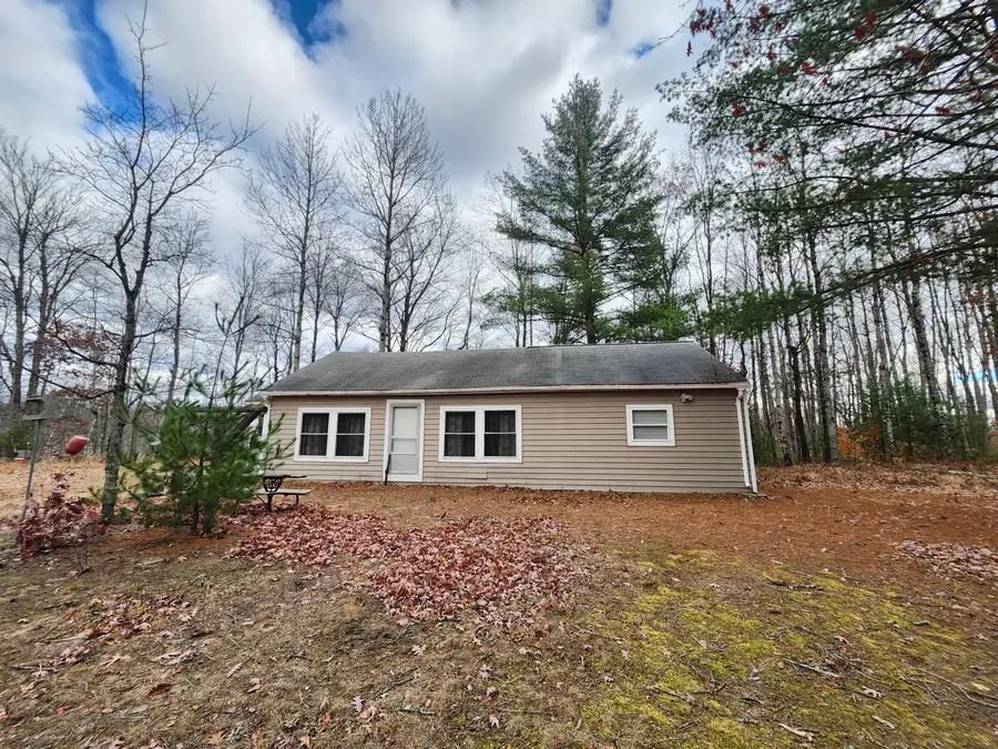 10544 N Lazy Lane, Bitely, MI 49309 - #2